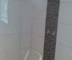 Carrelage mural blanc avec bande verticale en mosaïque grise dans une salle de bain – NATB