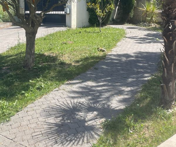 Allée extérieure pavée en pierre naturelle avec courbe paysagée – NATB Marseille